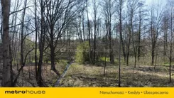 SGSINO826 - zdjęcie nr 1