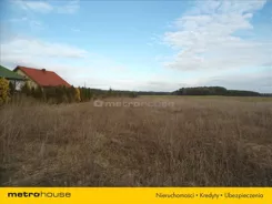 RISY276 - zdjęcie nr 2