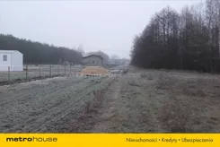 DIFI745 - zdjęcie nr 3