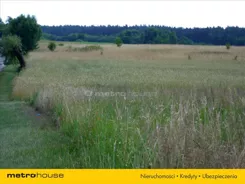 NAFY192 - zdjęcie nr 2