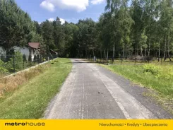 SGFELI981 - zdjęcie nr 0