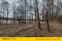 BISI807 - zdjęcie nr 4