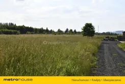 SGDIDI797 - zdjęcie nr 1