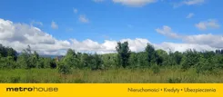SGDIDI797 - zdjęcie nr 3