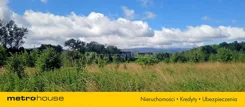 SGDIDI797 - zdjęcie nr 4
