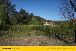 WAJY240 - zdjęcie nr 0
