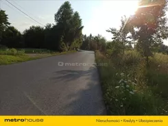 TAMY076 - zdjęcie nr 1