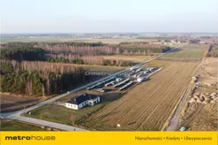 FEFI775 - zdjęcie nr 1