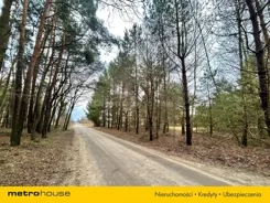 SGNIBI691 - zdjęcie nr 3