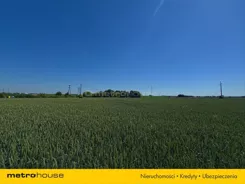 SGROBU329 - zdjęcie nr 3