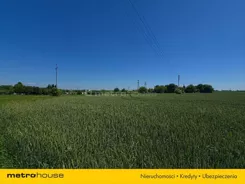 SGROBU329 - zdjęcie nr 4