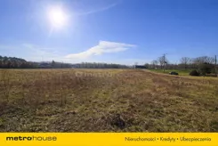 SGSIZU262 - zdjęcie nr 3
