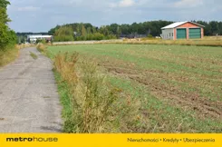 SGDIVI611 - zdjęcie nr 3