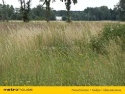 SGJAVI533 - zdjęcie nr 0