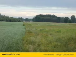 SGSAMY930 - zdjęcie nr 3