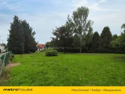 SGFOMO591 - zdjęcie nr 2