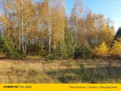NEWA633 - zdjęcie nr 0