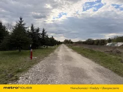 SGJIFO732 - zdjęcie nr 4