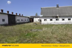 SURY724 - zdjęcie nr 3