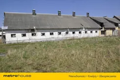SURY724 - zdjęcie nr 4