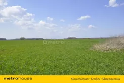 XYXI259 - zdjęcie nr 4