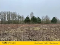 REJY007 - zdjęcie nr 1
