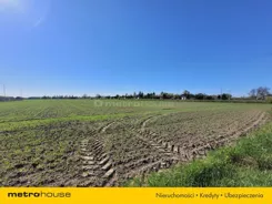 SGNEDA771 - zdjęcie nr 4