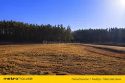SGTASI623 - zdjęcie nr 4