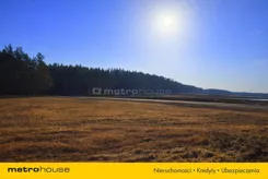 SGRUBO564 - zdjęcie nr 2