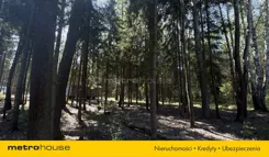 SGZEKI324 - zdjęcie nr 4