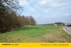 SGPULI894 - zdjęcie nr 1
