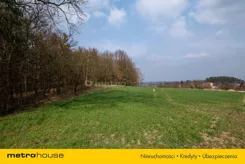 SGPULI894 - zdjęcie nr 4