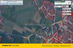 GILY332 - zdjęcie nr 4
