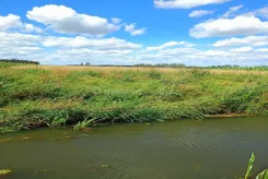 SGVISI357 - zdjęcie nr 3