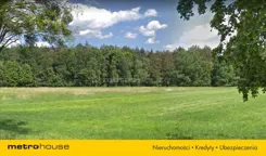 NEMY441 - zdjęcie nr 2