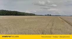WADE870 - zdjęcie nr 1