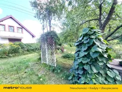 SGGAKO432 - zdjęcie nr 1