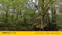 SGZACO307 - zdjęcie nr 1