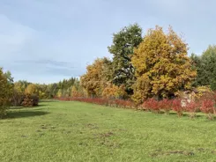 SGDABU414 - zdjęcie nr 0