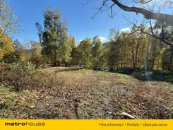 SGFUMU648 - zdjęcie nr 0