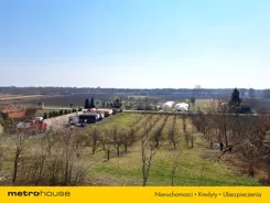 SGCIRO148 - zdjęcie nr 4