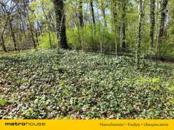 SGMECE256 - zdjęcie nr 2