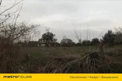 RENE735 - zdjęcie nr 3