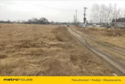 BULE142 - zdjęcie nr 1