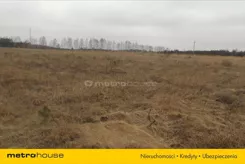 BULE142 - zdjęcie nr 2