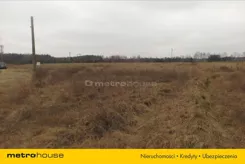 BULE142 - zdjęcie nr 4