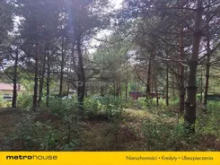 SGPITA306 - zdjęcie nr 2