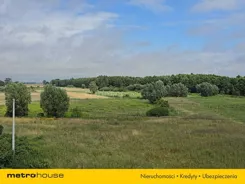 SGNOHY975 - zdjęcie nr 3