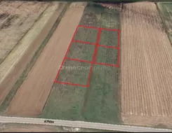 SGKORA610 - zdjęcie nr 2