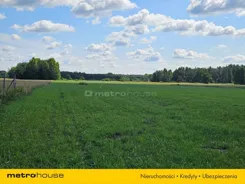 SGGALU819 - zdjęcie nr 3